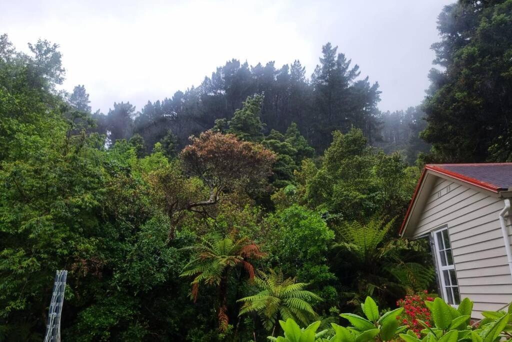 Pinehaven Cottage Upper Hutt Exteriör bild